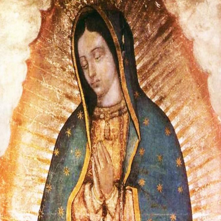 El Celam consagrará América Latina a la Virgen de Guadalupe el domingo de Pascua