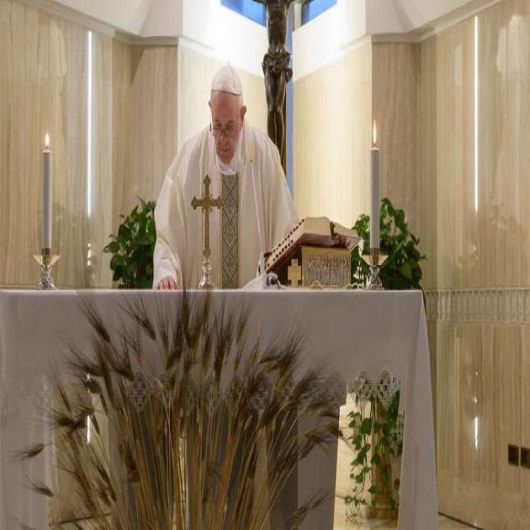 El Papa rezó por las embarazadas y advirtió sobre el riesgo de una fe "virtual"
