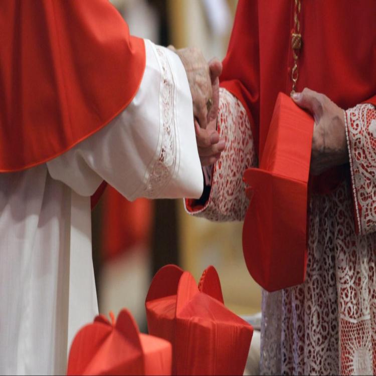 Francisco creará trece nuevos cardenales, dos son latinoamericanos