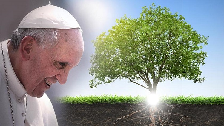 Los obispos españoles recuerdan que la "conversión ecológica" se ha vuelto apremiante
