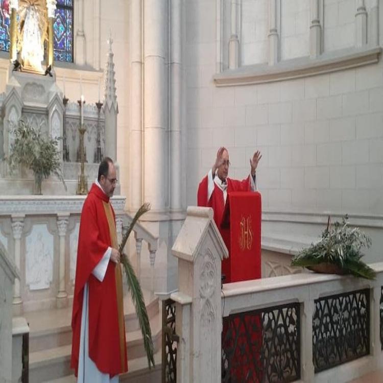 Mons. Víctor Fernández: "La bendición de ramos, alabanza y súplica de liberación"