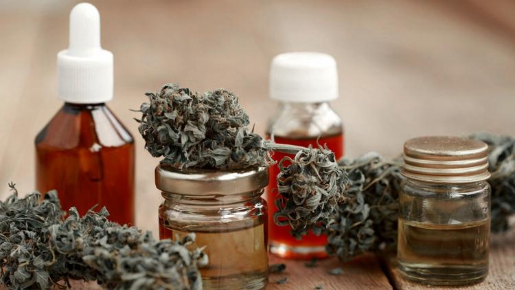 Preocupa a la Pastoral de Adicciones la ley de uso medicinal del cannabis