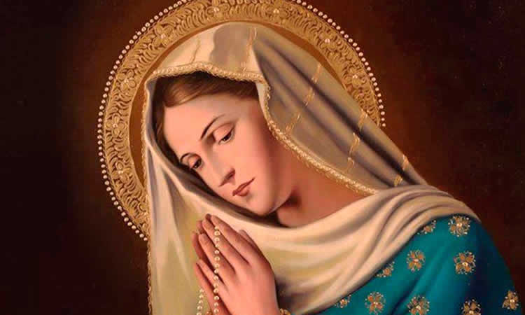 Virgen María: El Papa incluye tres nuevas invocaciones a las Letanías Lauretanas