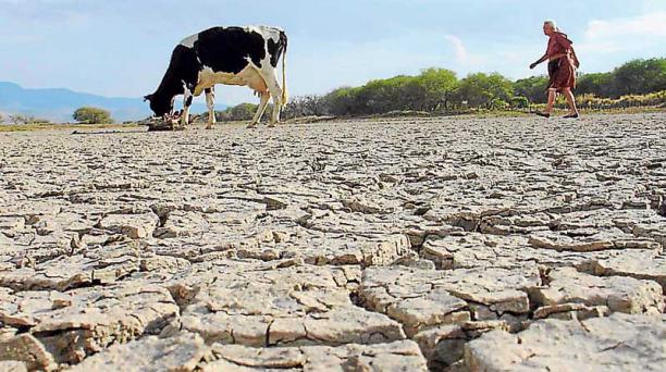 Cáritas alerta sobre los efectos de la sequía en África y Centroamérica