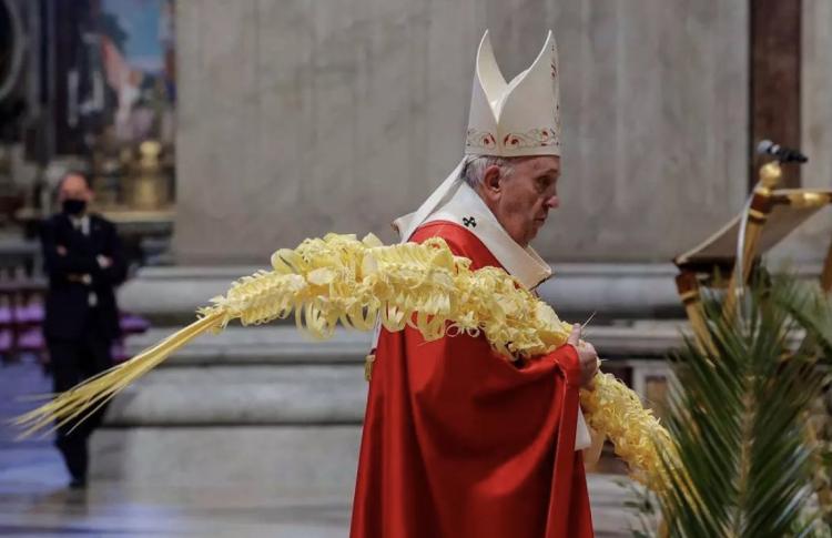 Domingo de Ramos: Mirar la cruz y pedir "la gracia del estupor", animó el Papa