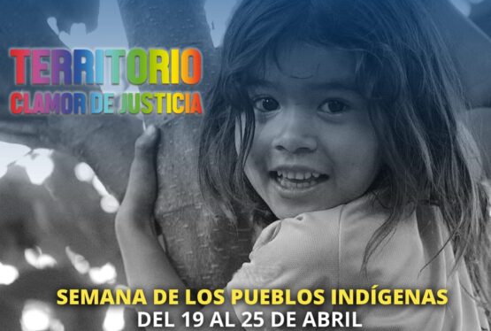 En la Semana de los Pueblos Indígenas, Neuquén pidió perdón por las injusticias
