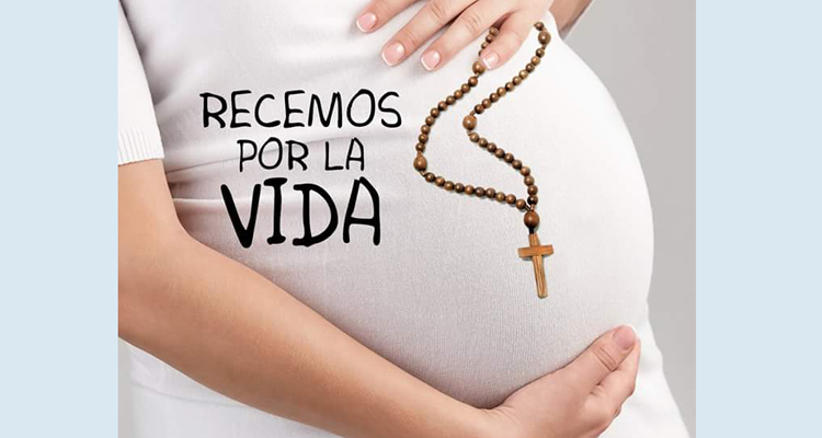 La misa y rosario por la vida del 25 de marzo será virtual en la catedral de Buenos Aires