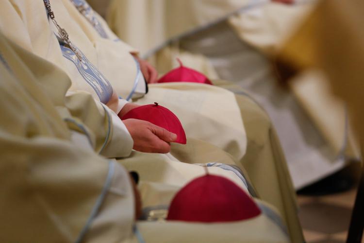 La Santa Sede pospuso la visita ad limina de los obispos de Austria hasta 2022