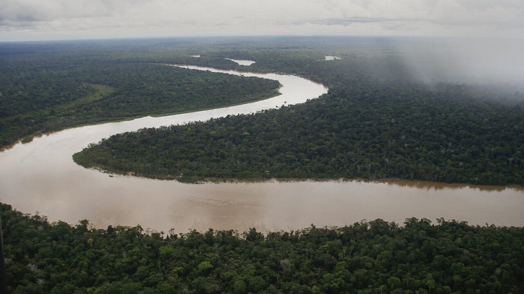 Brasil: los obispos denuncian un proyecto de ley que traerá un 'retroceso ambiental' Brasil: los obispos denuncian un proyecto de ley que traerá un 'retroceso ambiental'