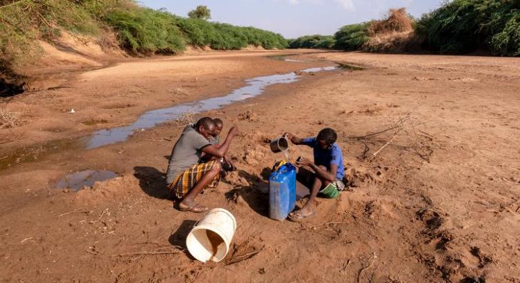 Cáritas alertó sobre la alarmante inseguridad alimentaria en el Cuerno de África