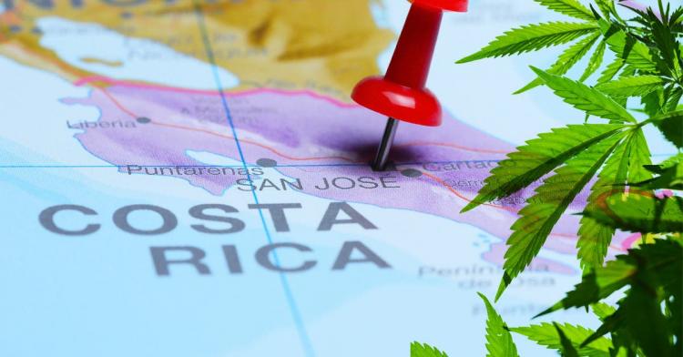 Costa Rica: Los obispos cuestionan la legalización del cultivo de cannabis