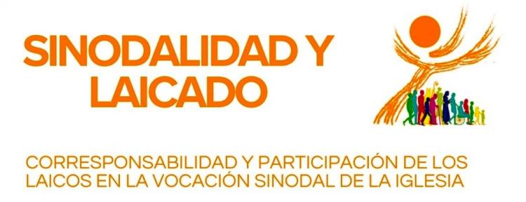 Crónica Blanca: webinar sobre Sinodalidad y Laicado Crónica Blanca: webinar sobre Sinodalidad y Laicado