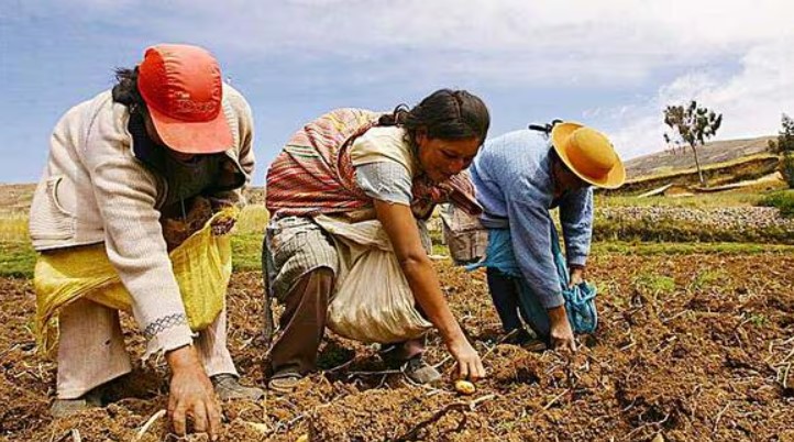 Día Mundial de la Alimentación: el Papa denuncia el 'flagelo del hambre'