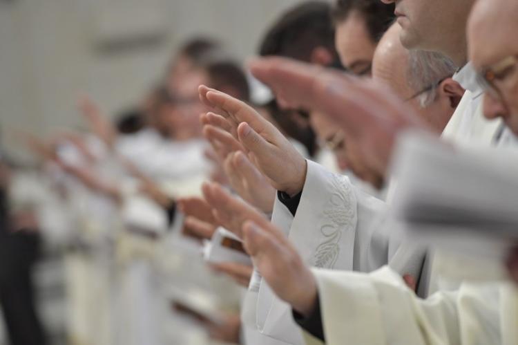Francisco alentó la diversidad de ministerios pero sin "clericalizar" a los laicos