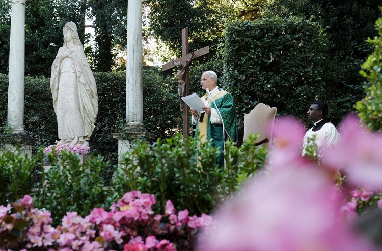 El Papa invitó a celebrar la Jornada de Oración por el Cuidado de la Creación El Papa invitó a celebrar la Jornada de Oración por el Cuidado de la Creación