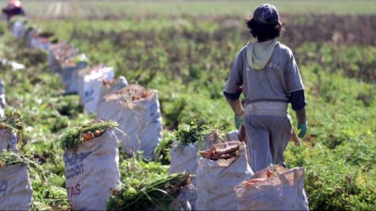 Erradicar el trabajo infantil de manera "decidida, conjunta y contundente", pidió el Papa