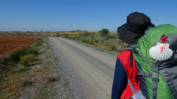 Estrenan una nueva película sobre el Camino de Santiago: un viaje físico y espiritual