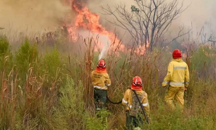 Incendios: Destinan ayuda por catástrofe a tres diócesis correntinas