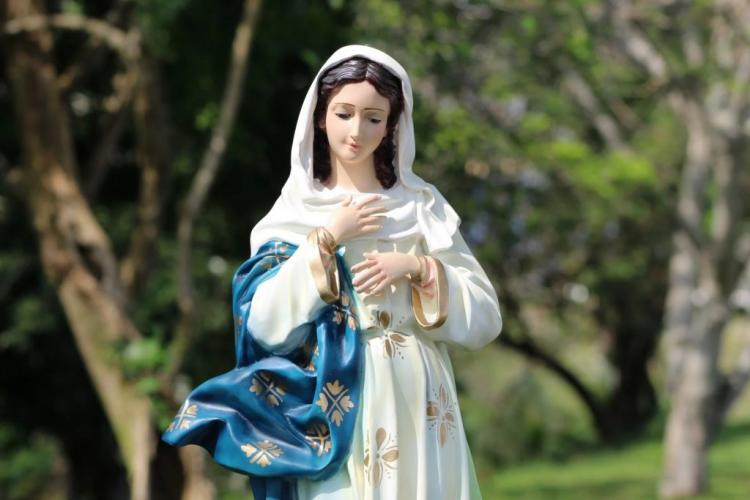 Inmaculada Concepción: en la Argentina, la solemnidad se celebra en domingo