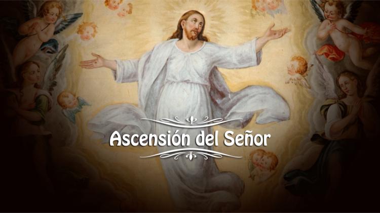 La misa de la Ascensión del Señor será transmitida en vivo por diferentes plataformas