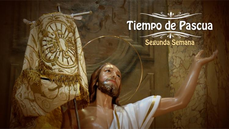 La misa del segundo domingo de Pascua se trasmitirá por TV, radio y streaming
