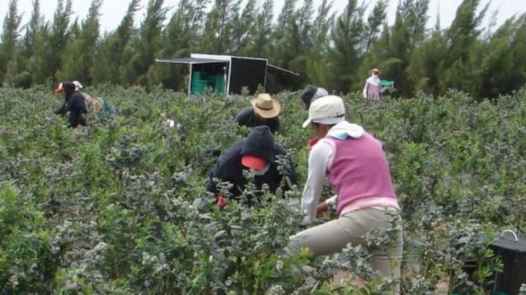 La Pastoral Social del NOA pide que 'no falte el trabajo'