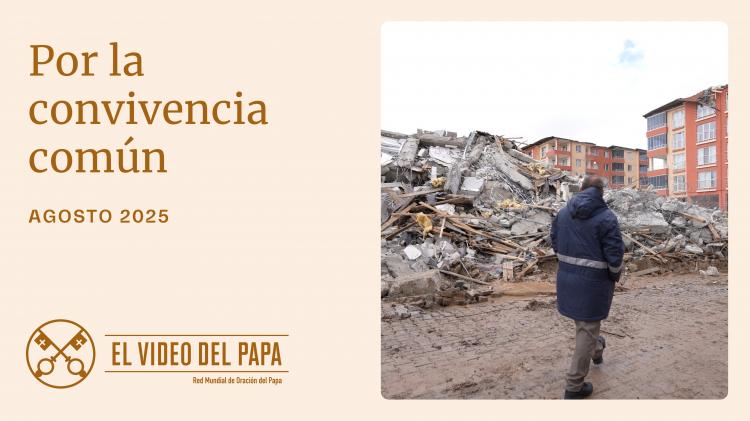 León XIV advierte sobre el peligro de la división social y llama a construir fraternidad León XIV advierte sobre el peligro de la división social y llama a construir fraternidad