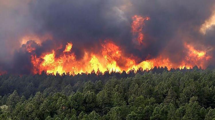 Los obispos de Colombia lanzan un SOS ante los incendios forestales