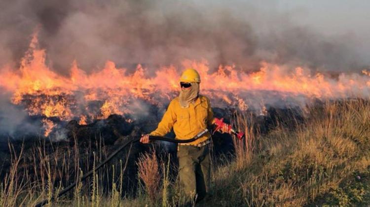 Mons. Lozano y los incendios: "Que el dolor nunca nos sea indiferente"