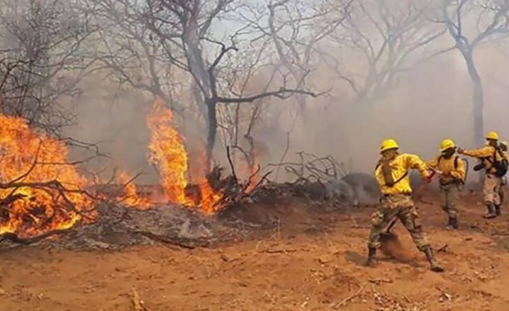 Más de 15.000 personas sumaron donaciones a Cáritas por los incendios