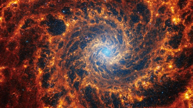 'Mirando el cielo, admiramos la belleza del Creador', dijo León XIV a los astrónomos 'Mirando el cielo, admiramos la belleza del Creador', dijo León XIV a los astrónomos