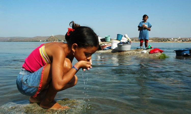 Mons. Larregain: 'El agua dulce es un recurso vital para la humanidad'