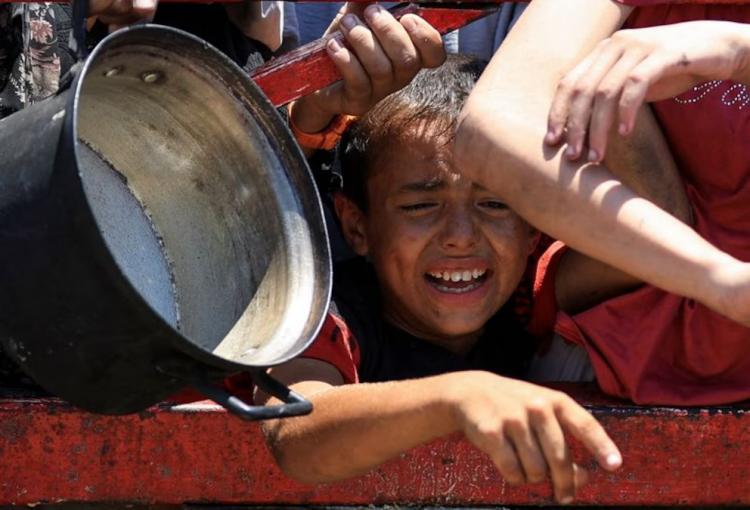 Mons. Lozano: 'Gaza no necesita más armas, necesita justicia y paz' Mons. Lozano: 'Gaza no necesita más armas, necesita justicia y paz'