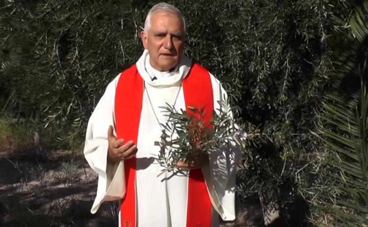 Mons. Lozano: 'Los ramos, un emblema de fe'