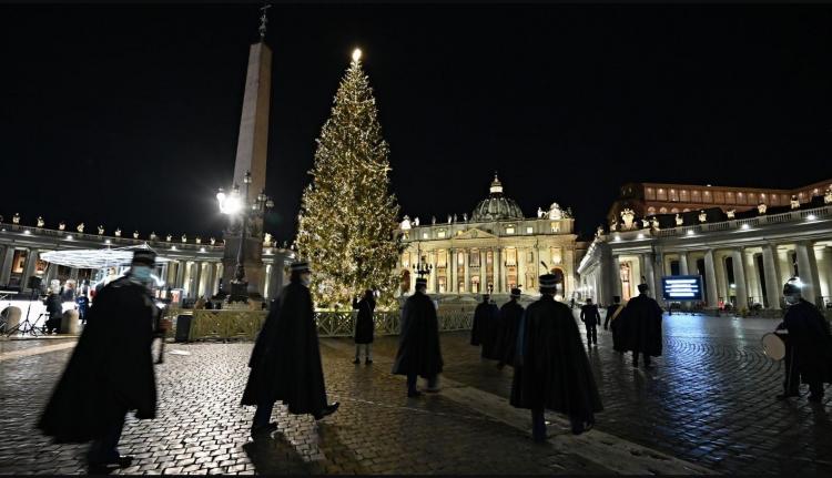 Navidad: el sábado inaugurarán el pesebre y el árbol en la Plaza de San Pedro