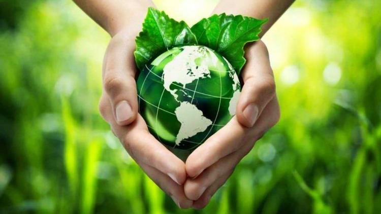 Neuquén: renovado llamado a la conversión ecológica integral Neuquén: renovado llamado a la conversión ecológica integral
