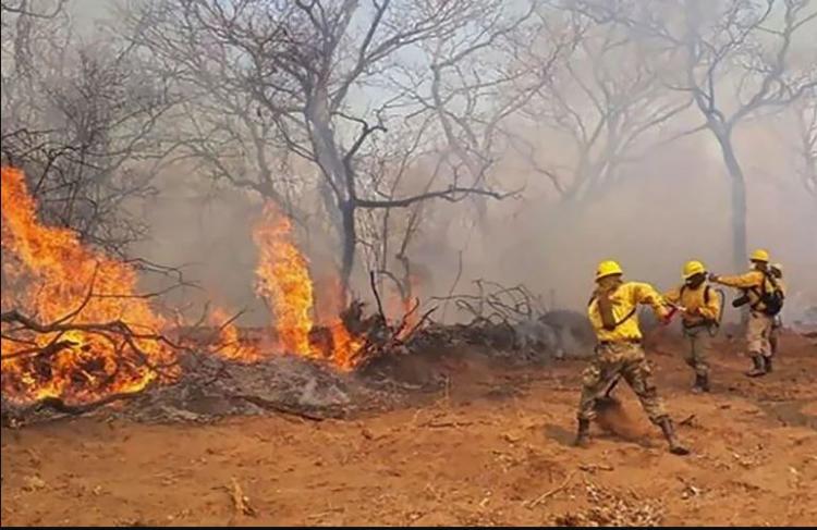 Paraguay: La Iglesia pide evitar incendios y cuidar el medioambiente