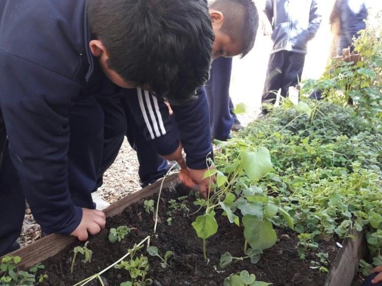 Salta: Compromiso de jóvenes salesianos por el cuidado de la Casa Común