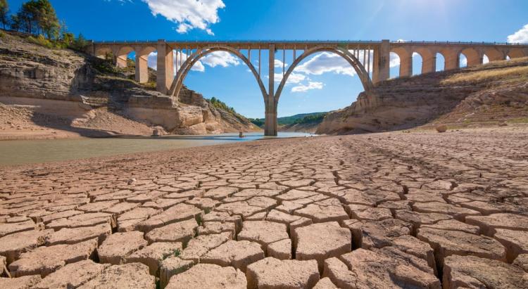 Sequía en España: Los obispos rezan pidiendo por las lluvias