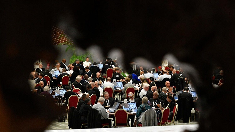 Sínodo: publican informes finales sobre sacerdocio y misión digital