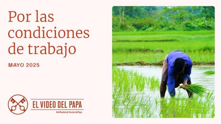 Un trabajo digno para todos: el mensaje de los últimos tres papas Un trabajo digno para todos: el mensaje de los últimos tres papas